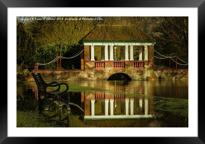 Russell Park Flooded Framed Mounted Print by Dawn O'Connor