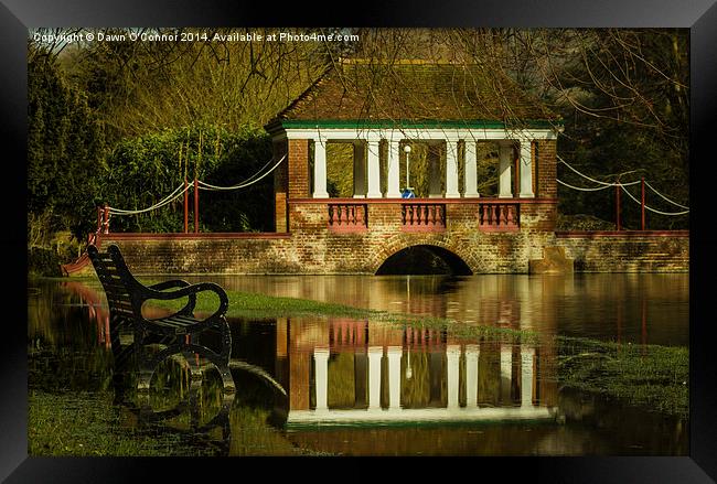 Russell Park Flooded Framed Print by Dawn O'Connor