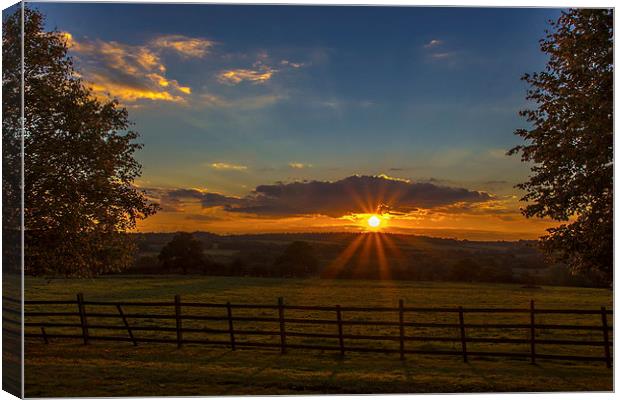 Sunset in the park Canvas Print by Ian Purdy