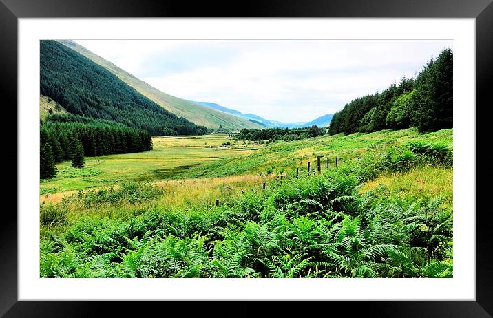 Moffat Water Valley Framed Mounted Print by Gisela Scheffbuch