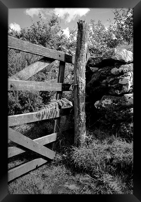 Rustic gate post Framed Print by Simon Armstrong