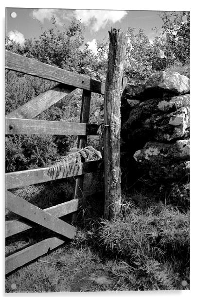 Rustic gate post Acrylic by Simon Armstrong