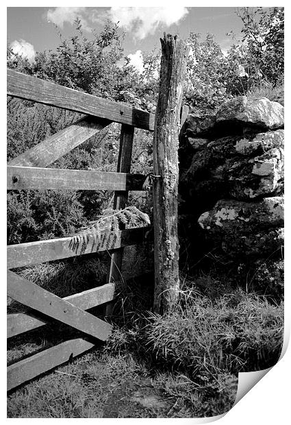 Rustic gate post Print by Simon Armstrong