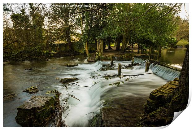 Russell Park Waterfall Print by Dawn O'Connor