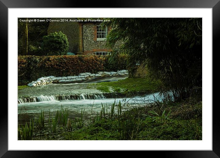 Russell Park Flooded Framed Mounted Print by Dawn O'Connor