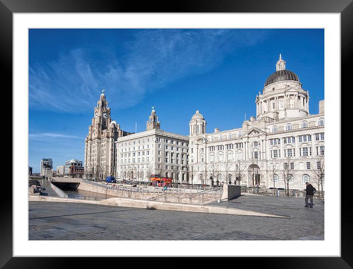 livebirds Building Liverpool Framed Mounted Print by Elaine Whitby
