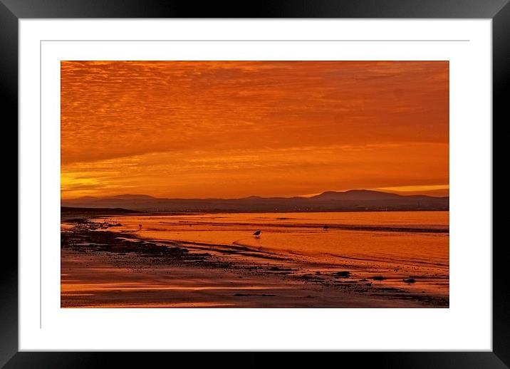 early morning seascape Framed Mounted Print by jane dickie