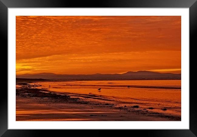 early morning seascape Framed Print by jane dickie
