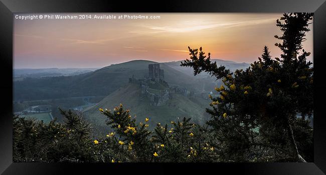Corfe and Gorse Framed Print by Phil Wareham