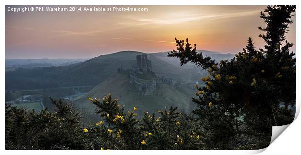 Corfe and Gorse Print by Phil Wareham