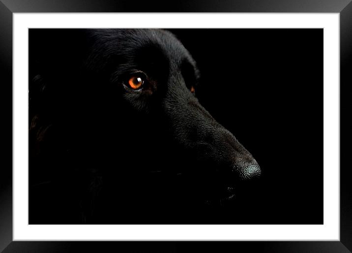 Waiting Patiently Framed Mounted Print by Richard Cruttwell
