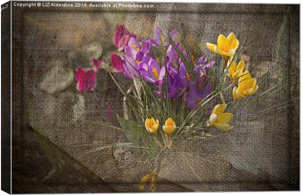 Springtime Flowers Canvas Print by LIZ Alderdice