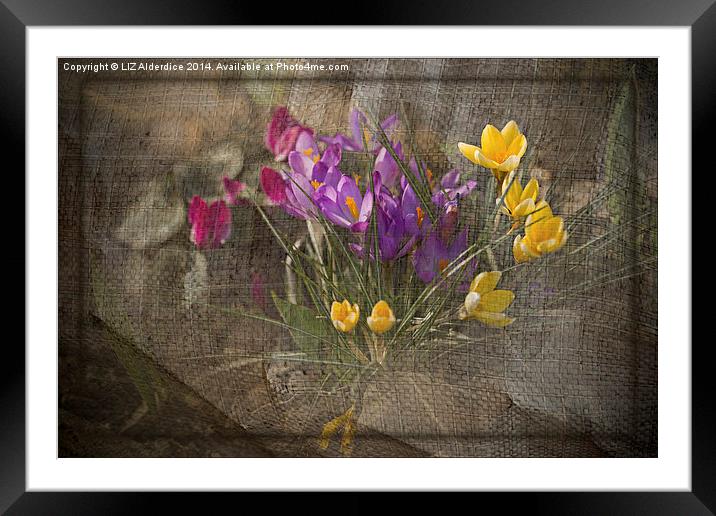 Springtime Flowers Framed Mounted Print by LIZ Alderdice