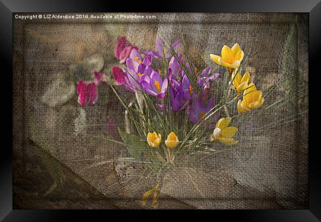 Springtime Flowers Framed Print by LIZ Alderdice