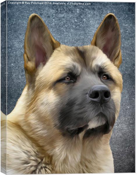 Akita Paintover Canvas Print by Ray Pritchard