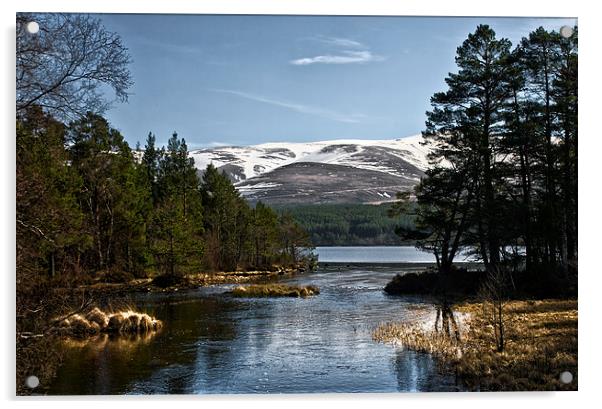 Cairngorm and Loch Morlich Acrylic by Jacqi Elmslie