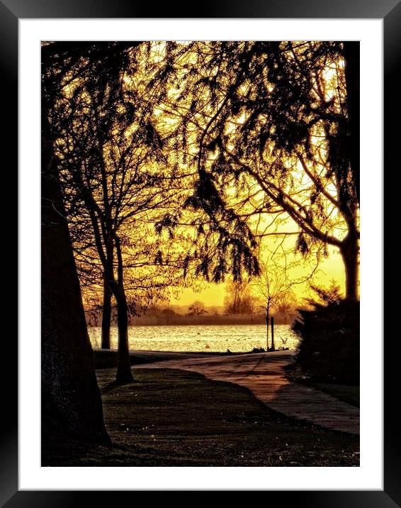 sunset in oulton broad Framed Mounted Print by chrissy woodhouse
