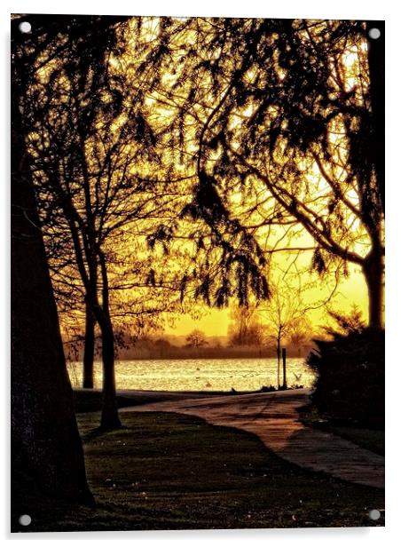 sunset in oulton broad Acrylic by chrissy woodhouse