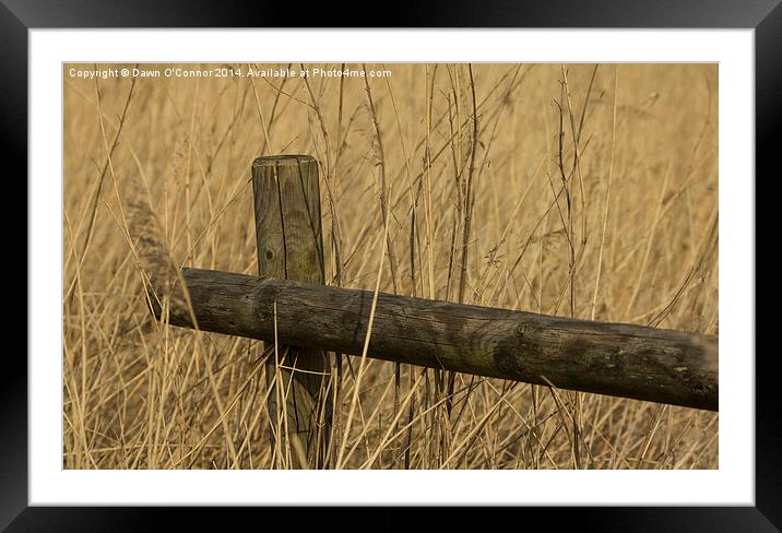 Fence Post Framed Mounted Print by Dawn O'Connor
