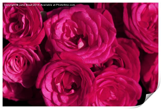 Passionate Pink Roses Print by Jane Braat