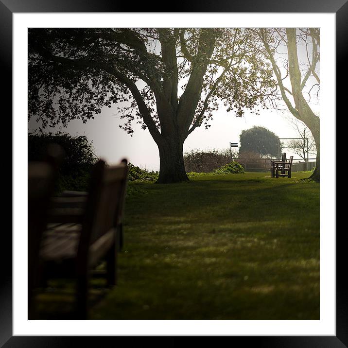Paradise Lost - Blissful Seat under Tree Framed Mounted Print by Ian Johnston  LRPS
