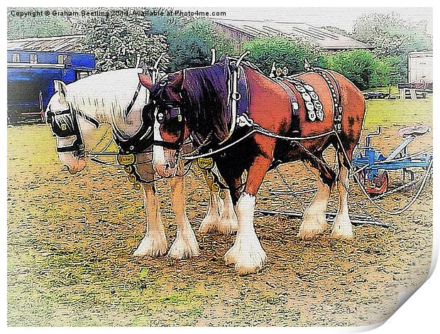 Shire Horses Print by Graham Beerling
