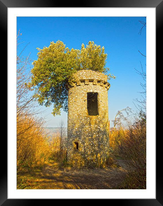 BROADWOODS FOLLY BOX HILL SURREY Framed Mounted Print by Clive Eariss