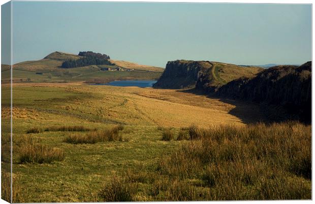 steel rigg hadrians wall Canvas Print by eric carpenter