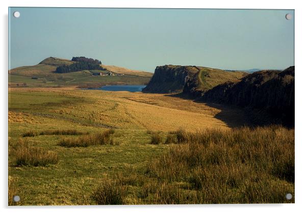 steel rigg hadrians wall Acrylic by eric carpenter