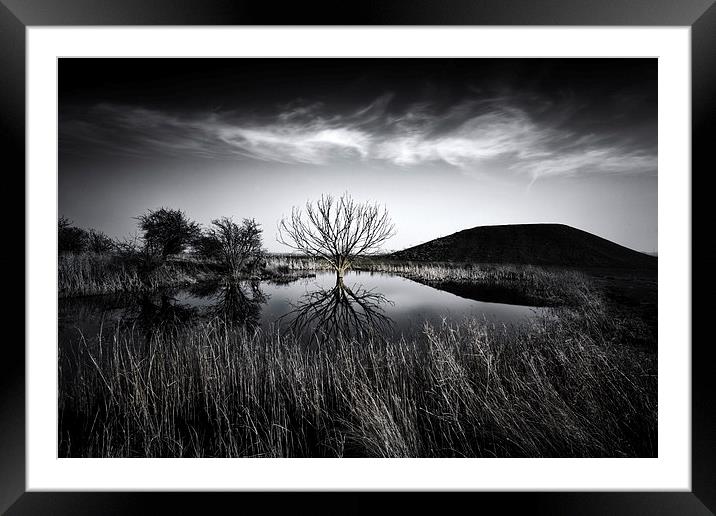 Elmley Marshes Framed Mounted Print by Ian Hufton