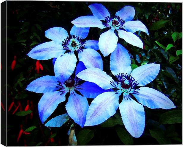 CLEMATIS OIL PAINTING Canvas Print by Anthony Kellaway