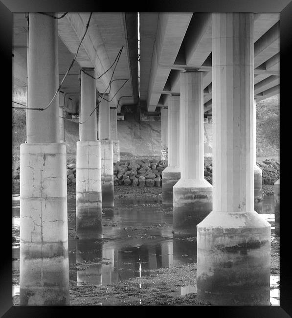 Under the Bridge Framed Print by Michael Ross