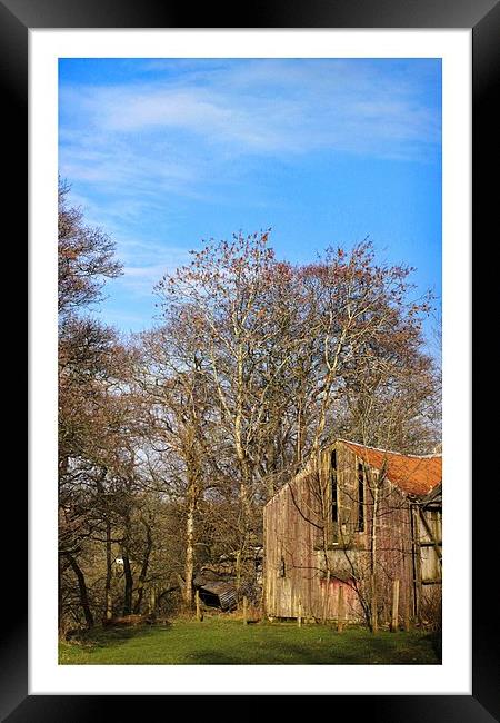 country living Framed Print by jane dickie