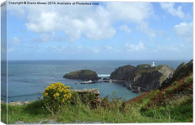 Lundy Island Canvas Print by Diana Mower