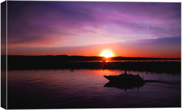 Sunset at the Marina Canvas Print by Ian Pettman