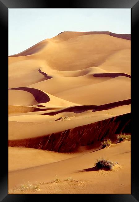 Sand Dune, Dubai, UAE Framed Print by Jacqueline Burrell