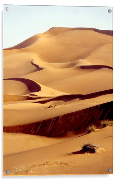 Sand Dune, Dubai, UAE Acrylic by Jacqueline Burrell