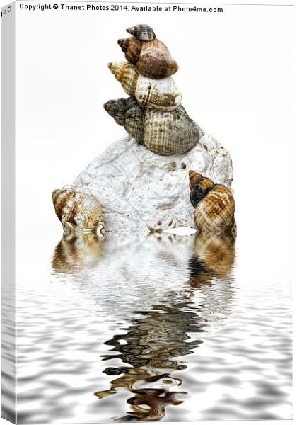 Tower of Whelks Canvas Print by Thanet Photos