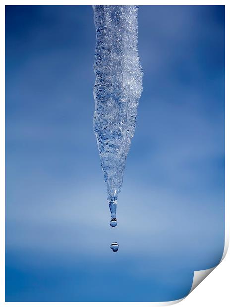 Icicle Print by Graham Moore