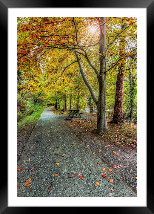 Autumn Stroll Framed Mounted Print by Ian Mitchell