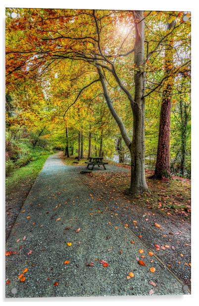 Autumn Stroll Acrylic by Ian Mitchell