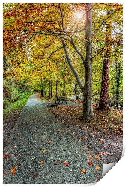 Autumn Stroll Print by Ian Mitchell