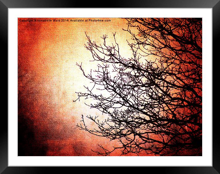 Red and Dead Branches Framed Mounted Print by Annabelle Ward