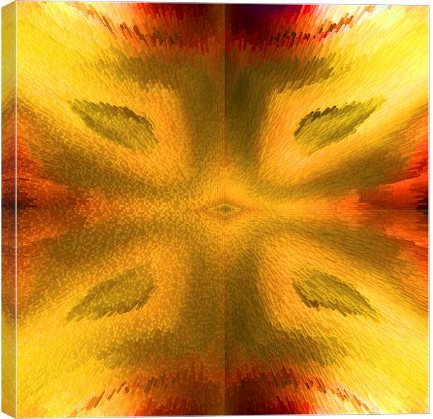 Agate in abstract Canvas Print by Robert Gipson