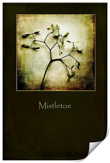 Mistletoe Print by Randi Grace Nilsberg