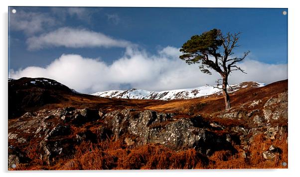 Glen Strathfarrar Acrylic by Macrae Images