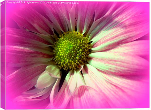 More Beauty Within Canvas Print by Bill Lighterness