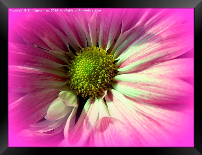 More Beauty Within Framed Print by Bill Lighterness