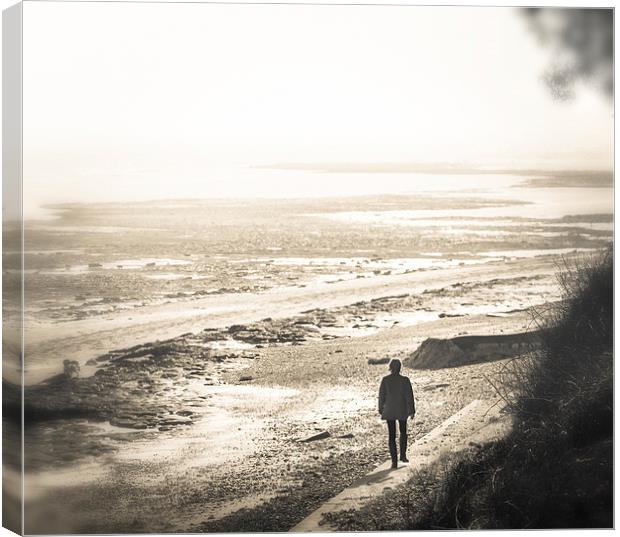 Walking to the Wasteland Canvas Print by Ian Johnston  LRPS