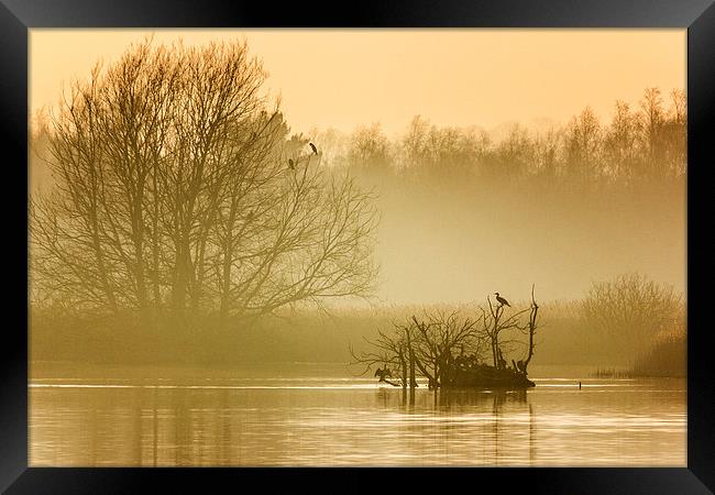 Stodmarsh Framed Print by Ian Hufton